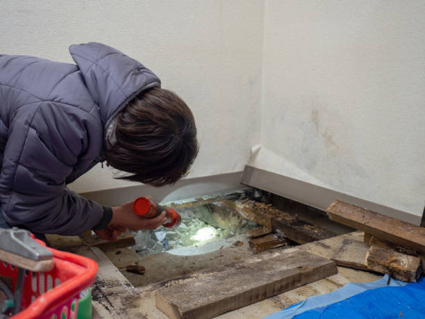 Best Post-Construction Mold Inspection  in Agua Dulce, TX