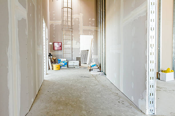 Best Basement Mold Removal  in Agua Dulce, TX